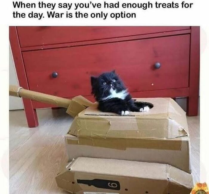 If You Like Animals More Than People, These 78 Funny Memes And Posts Might Be What You Need If You Like Animals More Than People, These 78 Funny Memes And Posts Might Be What You Need