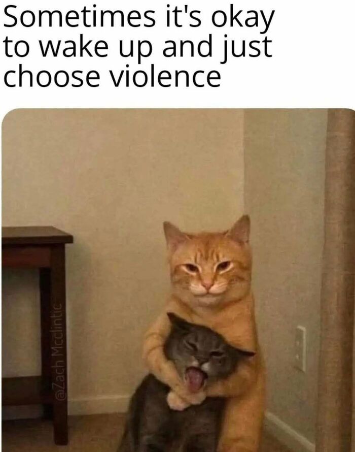 If You Like Animals More Than People, These 78 Funny Memes And Posts Might Be What You Need If You Like Animals More Than People, These 78 Funny Memes And Posts Might Be What You Need