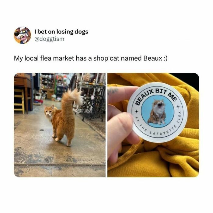 If You Like Animals More Than People, These 78 Funny Memes And Posts Might Be What You Need If You Like Animals More Than People, These 78 Funny Memes And Posts Might Be What You Need
