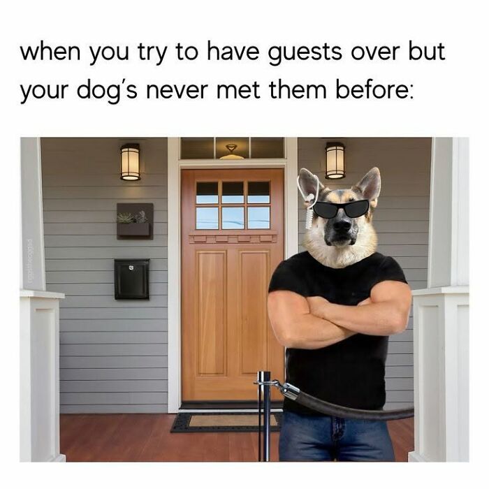 If You Like Animals More Than People, These 78 Funny Memes And Posts Might Be What You Need If You Like Animals More Than People, These 78 Funny Memes And Posts Might Be What You Need