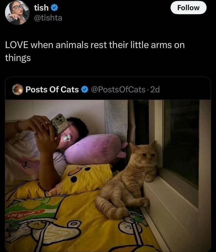 If You Like Animals More Than People, These 78 Funny Memes And Posts Might Be What You Need If You Like Animals More Than People, These 78 Funny Memes And Posts Might Be What You Need