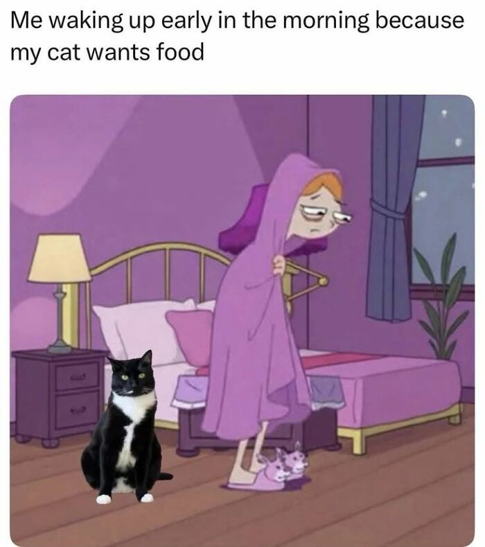 If You Like Animals More Than People, These 78 Funny Memes And Posts Might Be What You Need If You Like Animals More Than People, These 78 Funny Memes And Posts Might Be What You Need