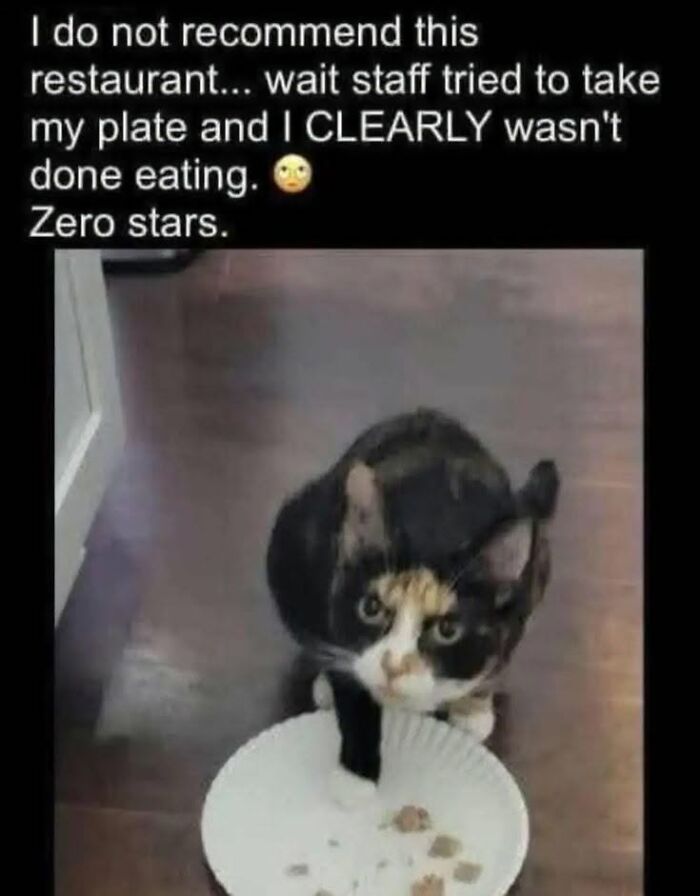 If You Like Animals More Than People, These 78 Funny Memes And Posts Might Be What You Need If You Like Animals More Than People, These 78 Funny Memes And Posts Might Be What You Need