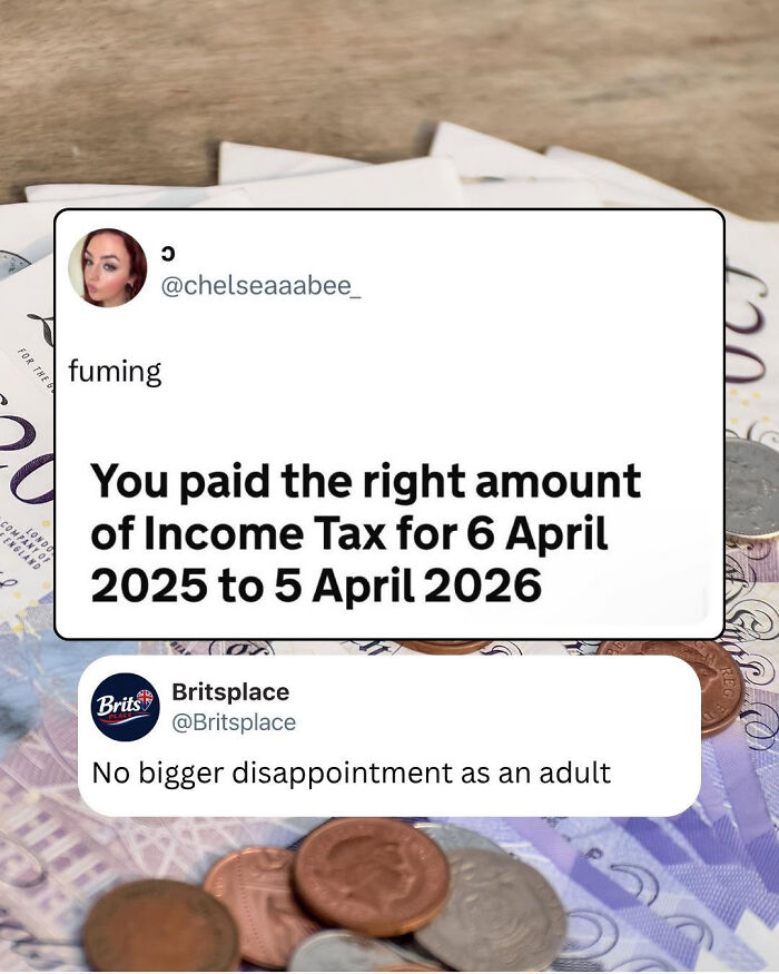 75 Brilliantly British Memes That Are Dry Enough To Need A Cup Of Tea 75 Brilliantly British Memes That Are Dry Enough To Need A Cup Of Tea