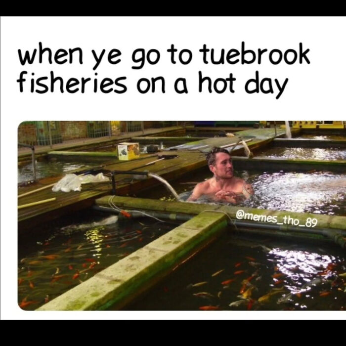 75 Brilliantly British Memes That Are Dry Enough To Need A Cup Of Tea 75 Brilliantly British Memes That Are Dry Enough To Need A Cup Of Tea