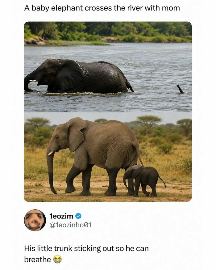 800K People Love This Page’s Sense Of Humor, Here Are 65 Of Its Best Posts 800K People Love This Page’s Sense Of Humor, Here Are 65 Of Its Best Posts
