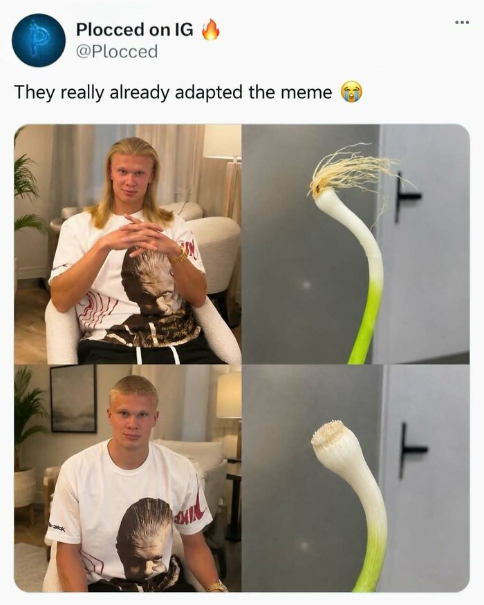 800K People Love This Page’s Sense Of Humor, Here Are 65 Of Its Best Posts 800K People Love This Page’s Sense Of Humor, Here Are 65 Of Its Best Posts