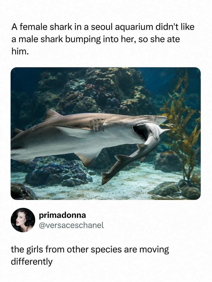 800K People Love This Page’s Sense Of Humor, Here Are 65 Of Its Best Posts 800K People Love This Page’s Sense Of Humor, Here Are 65 Of Its Best Posts