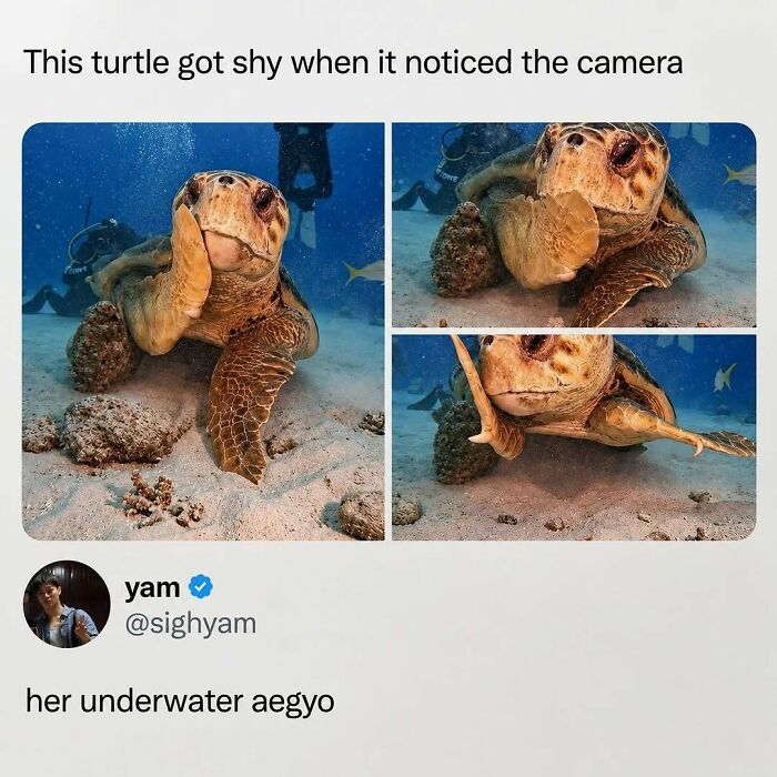800K People Love This Page’s Sense Of Humor, Here Are 65 Of Its Best Posts 800K People Love This Page’s Sense Of Humor, Here Are 65 Of Its Best Posts