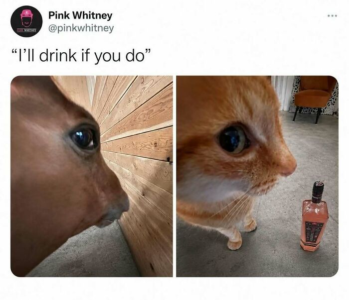 800K People Love This Page’s Sense Of Humor, Here Are 65 Of Its Best Posts 800K People Love This Page’s Sense Of Humor, Here Are 65 Of Its Best Posts