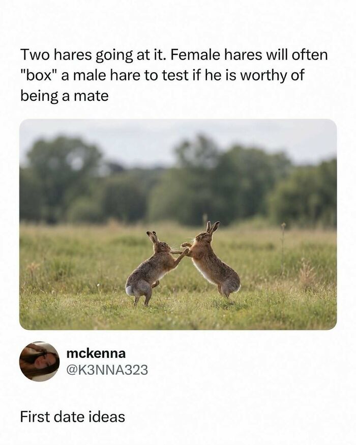 800K People Love This Page’s Sense Of Humor, Here Are 65 Of Its Best Posts 800K People Love This Page’s Sense Of Humor, Here Are 65 Of Its Best Posts