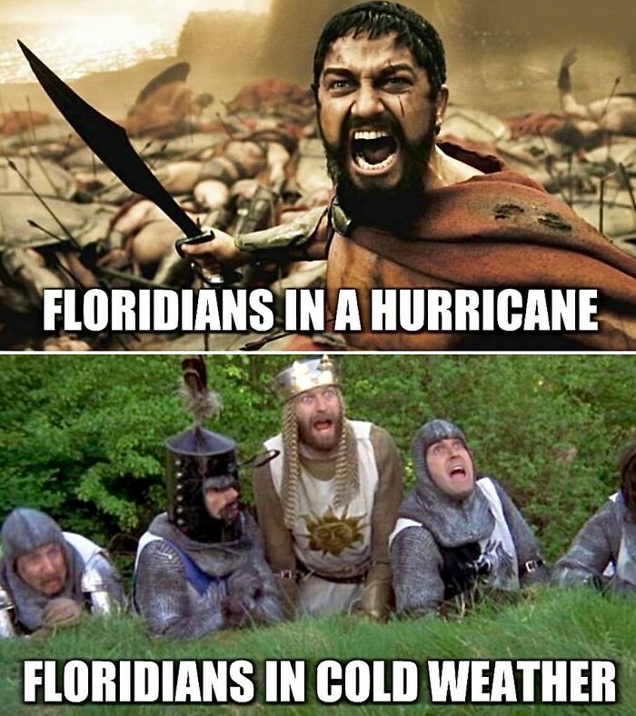 75 Unhinged Things People Witnessed Happening In The Sunshine State 75 Unhinged Things People Witnessed Happening In The Sunshine State