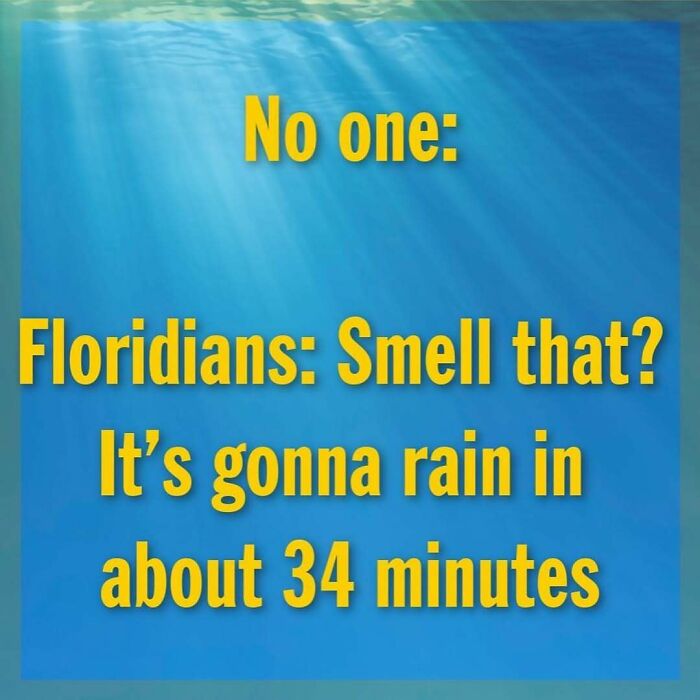 75 Unhinged Things People Witnessed Happening In The Sunshine State 75 Unhinged Things People Witnessed Happening In The Sunshine State