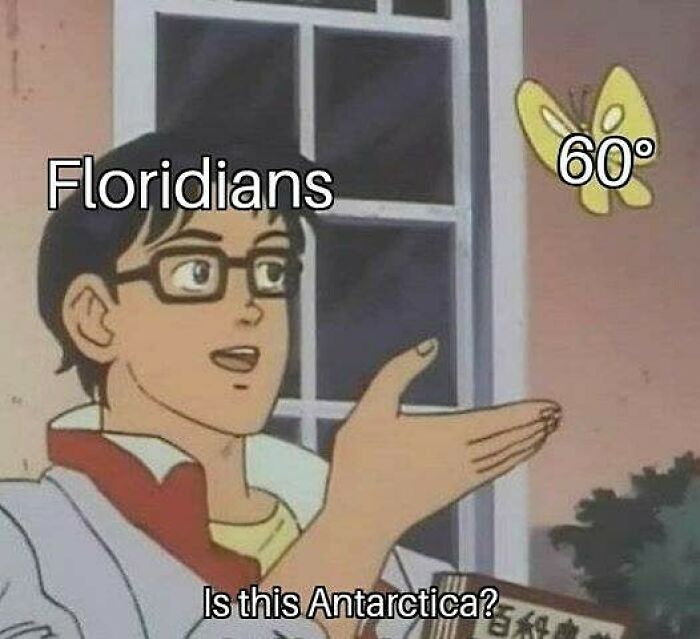 75 Unhinged Things People Witnessed Happening In The Sunshine State 75 Unhinged Things People Witnessed Happening In The Sunshine State