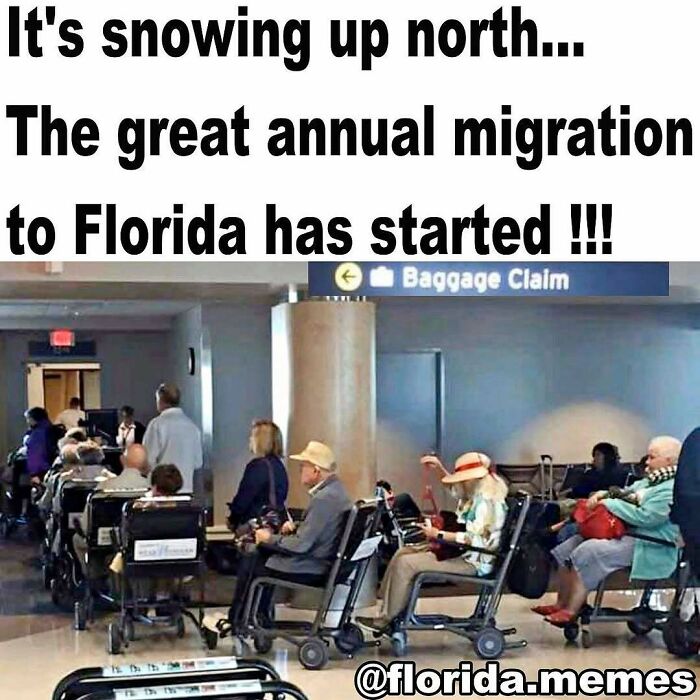75 Unhinged Things People Witnessed Happening In The Sunshine State 75 Unhinged Things People Witnessed Happening In The Sunshine State