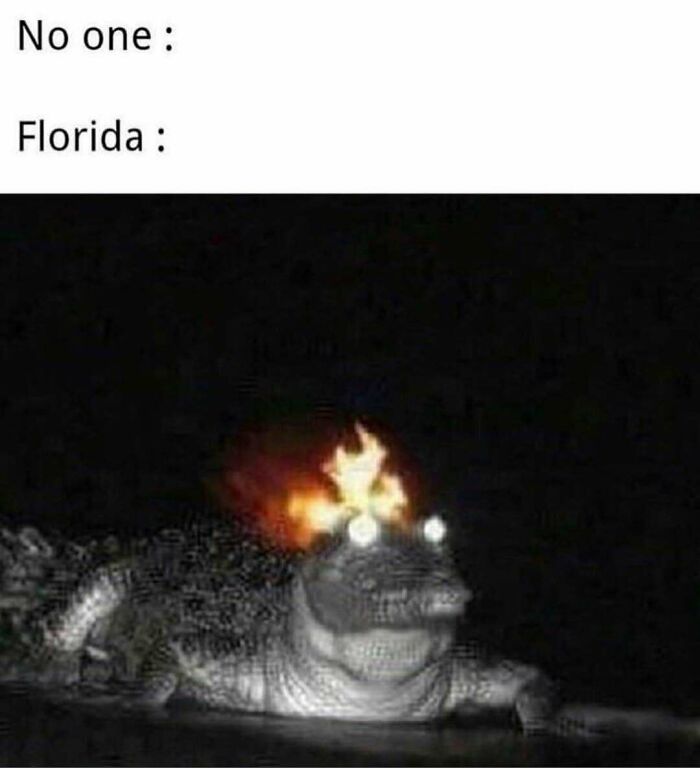75 Unhinged Things People Witnessed Happening In The Sunshine State 75 Unhinged Things People Witnessed Happening In The Sunshine State