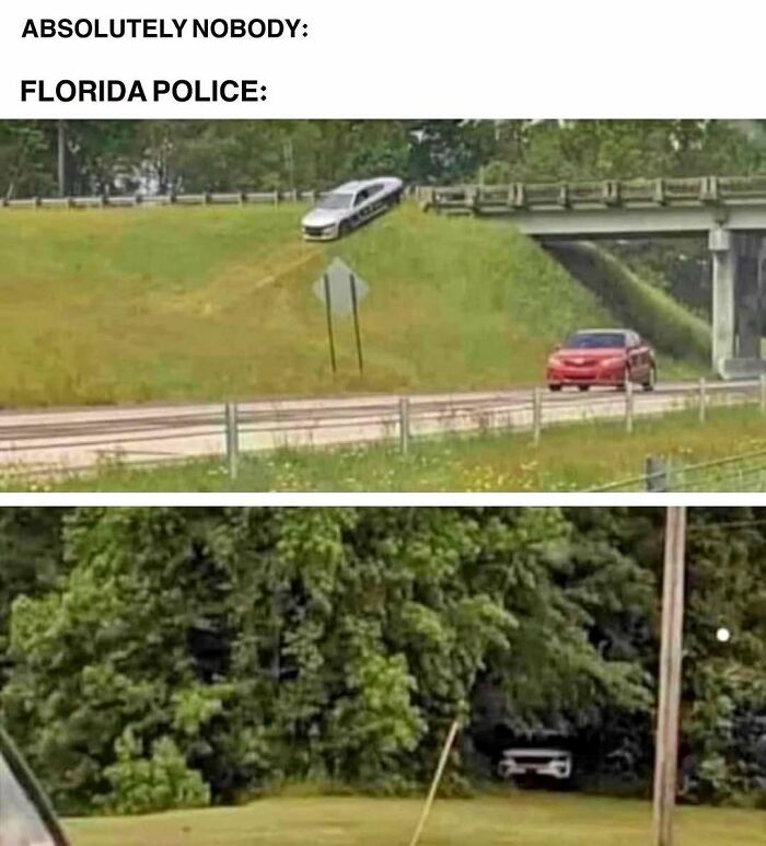 75 Unhinged Things People Witnessed Happening In The Sunshine State 75 Unhinged Things People Witnessed Happening In The Sunshine State