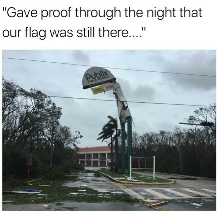 75 Unhinged Things People Witnessed Happening In The Sunshine State 75 Unhinged Things People Witnessed Happening In The Sunshine State