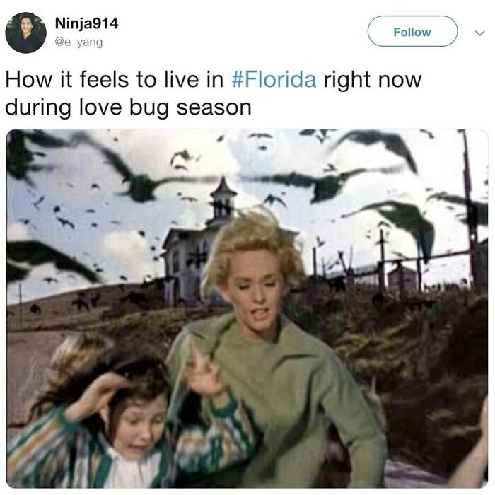 75 Unhinged Things People Witnessed Happening In The Sunshine State 75 Unhinged Things People Witnessed Happening In The Sunshine State