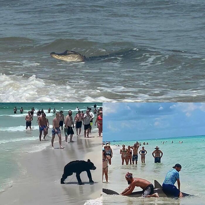 75 Unhinged Things People Witnessed Happening In The Sunshine State 75 Unhinged Things People Witnessed Happening In The Sunshine State