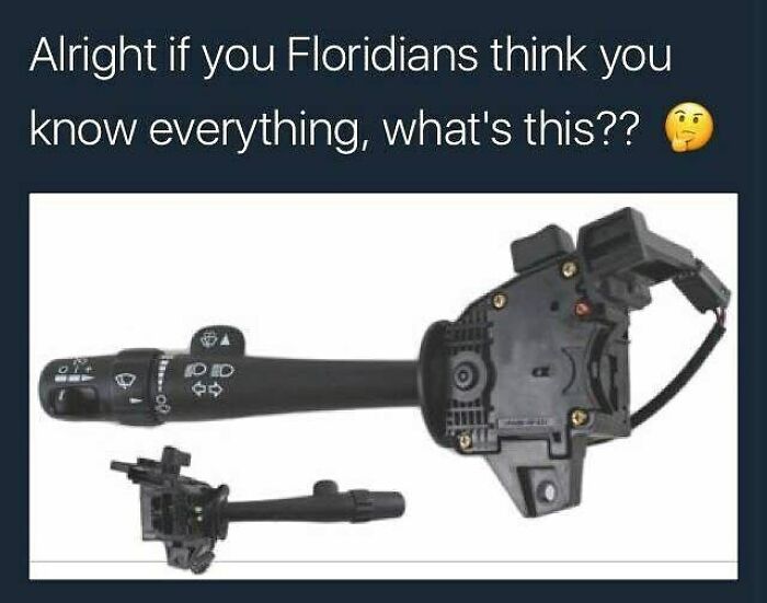 75 Unhinged Things People Witnessed Happening In The Sunshine State 75 Unhinged Things People Witnessed Happening In The Sunshine State