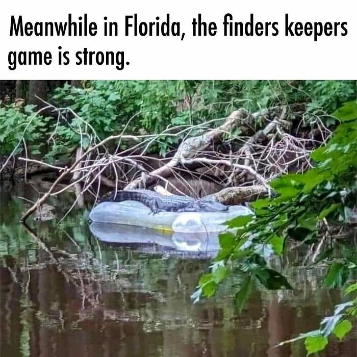 75 Unhinged Things People Witnessed Happening In The Sunshine State 75 Unhinged Things People Witnessed Happening In The Sunshine State