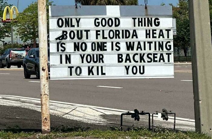 75 Unhinged Things People Witnessed Happening In The Sunshine State 75 Unhinged Things People Witnessed Happening In The Sunshine State