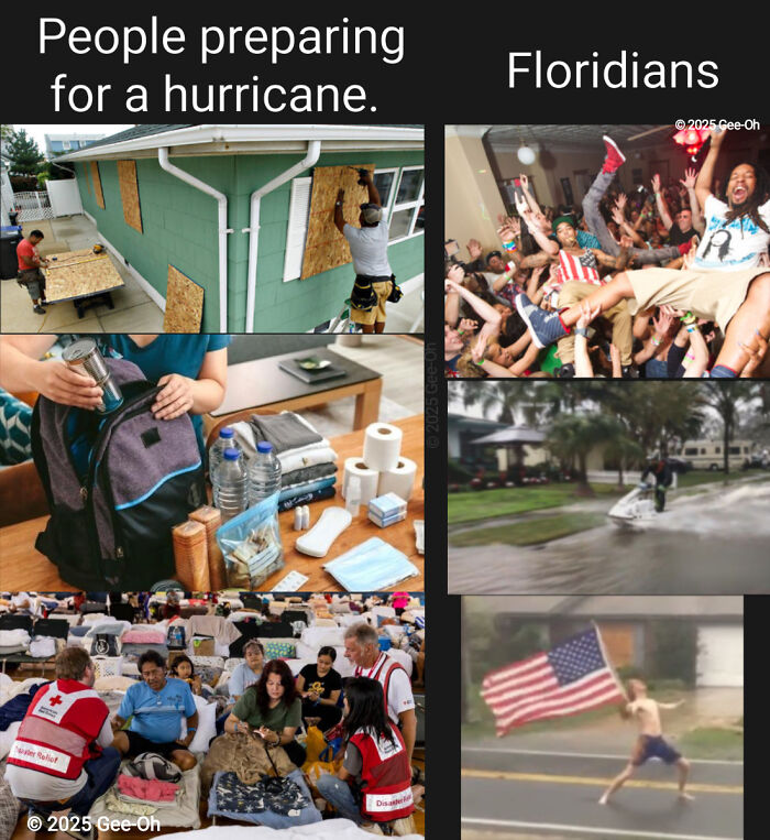 75 Unhinged Things People Witnessed Happening In The Sunshine State 75 Unhinged Things People Witnessed Happening In The Sunshine State