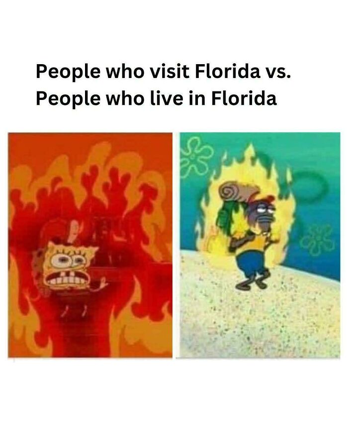 75 Unhinged Things People Witnessed Happening In The Sunshine State 75 Unhinged Things People Witnessed Happening In The Sunshine State