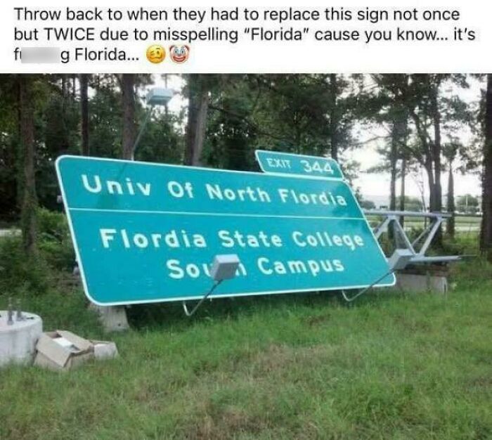 75 Unhinged Things People Witnessed Happening In The Sunshine State 75 Unhinged Things People Witnessed Happening In The Sunshine State