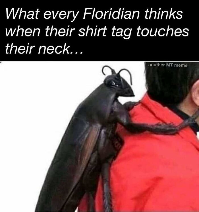 75 Unhinged Things People Witnessed Happening In The Sunshine State 75 Unhinged Things People Witnessed Happening In The Sunshine State