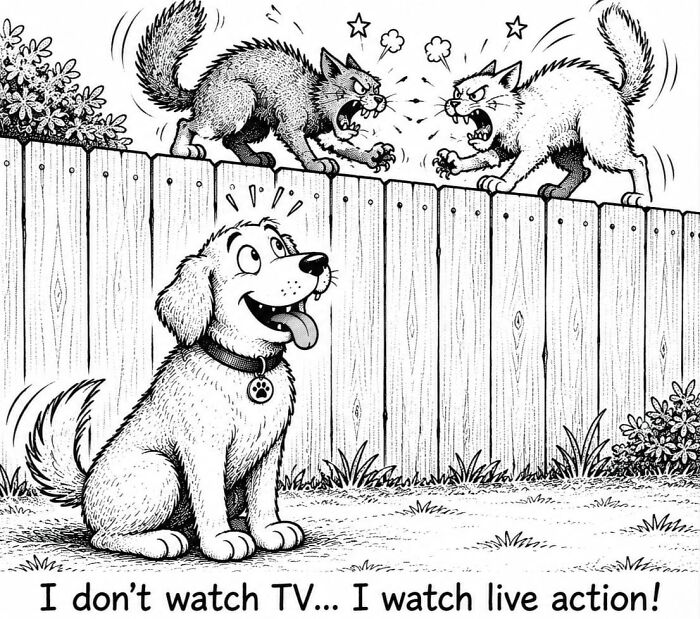I Imagined The Thoughts Running Through A Dog’s Mind And Turned Them Into 22 New Comics