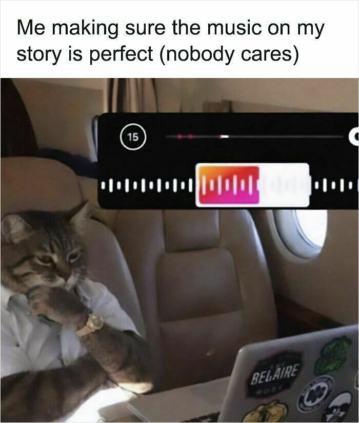 74 Cat Memes That Are Pawsitively Precious And Absolute Purr-Fection 74 Cat Memes That Are Pawsitively Precious And Absolute Purr-Fection