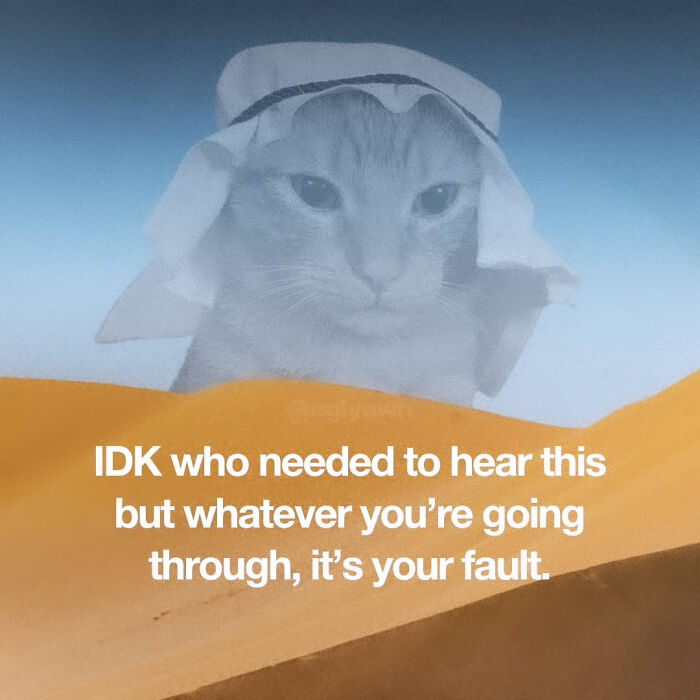 74 Cat Memes That Are Pawsitively Precious And Absolute Purr-Fection 74 Cat Memes That Are Pawsitively Precious And Absolute Purr-Fection