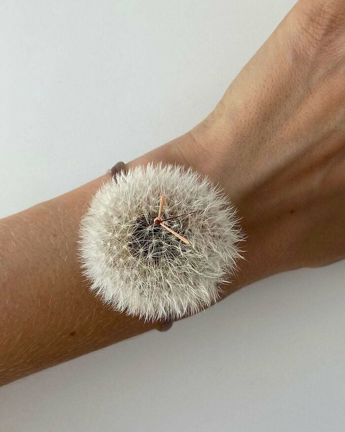 133 Brilliant And Beautiful Designs That Are Probably The Highlights Of Someone&rsquo;s Career