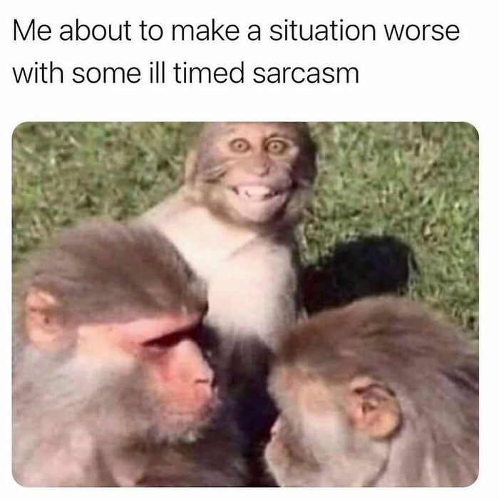 71 Memes Packed With Enough Humor And Sarcasm To Get You Through The Day