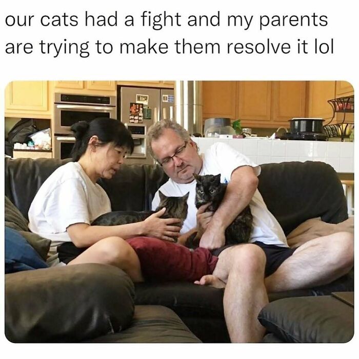71 Memes Packed With Enough Humor And Sarcasm To Get You Through The Day