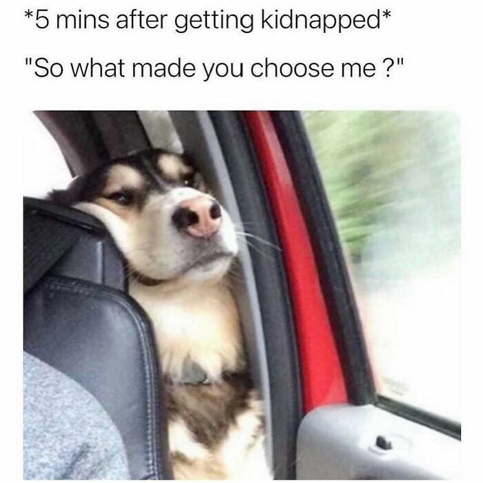 71 Memes Packed With Enough Humor And Sarcasm To Get You Through The Day