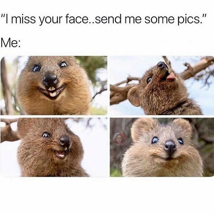 71 Memes Packed With Enough Humor And Sarcasm To Get You Through The Day
