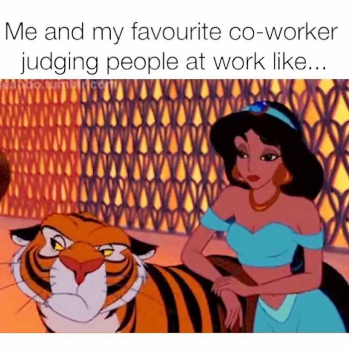 71 Memes Packed With Enough Humor And Sarcasm To Get You Through The Day