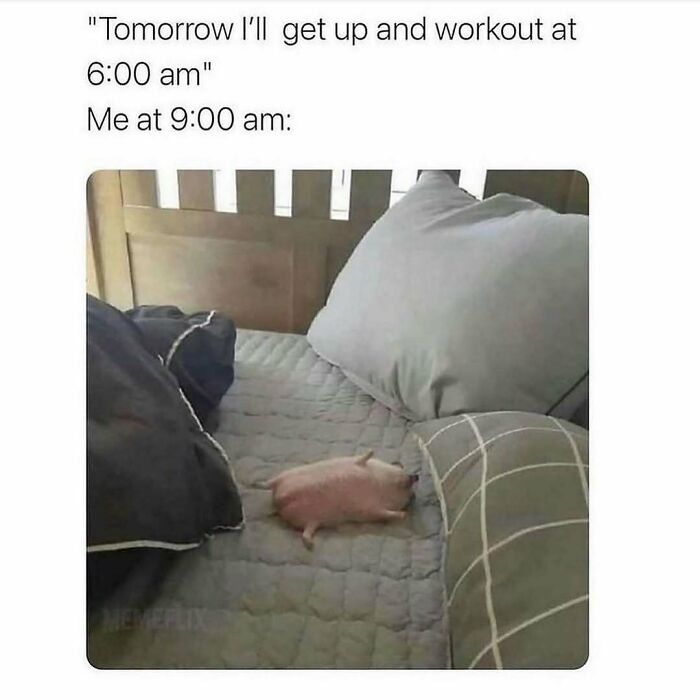 71 Memes Packed With Enough Humor And Sarcasm To Get You Through The Day