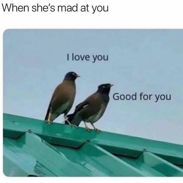71 Memes Packed With Enough Humor And Sarcasm To Get You Through The Day