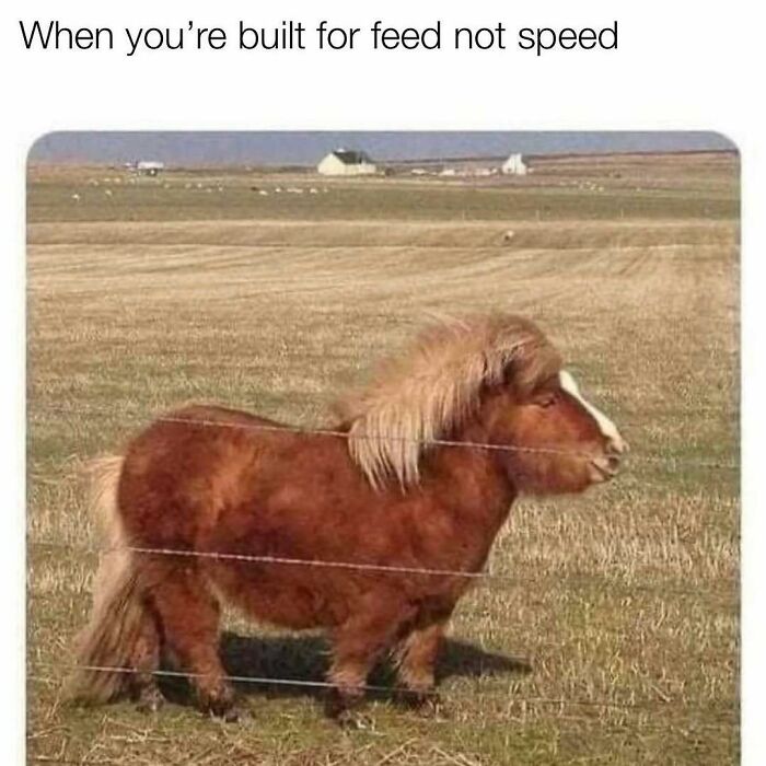 71 Memes Packed With Enough Humor And Sarcasm To Get You Through The Day
