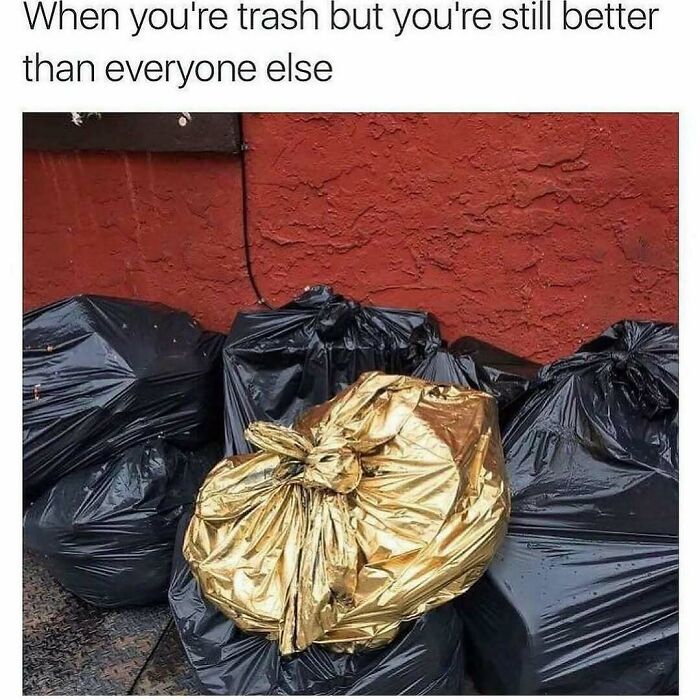 71 Memes Packed With Enough Humor And Sarcasm To Get You Through The Day