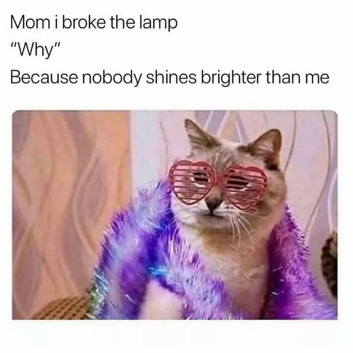 71 Memes Packed With Enough Humor And Sarcasm To Get You Through The Day