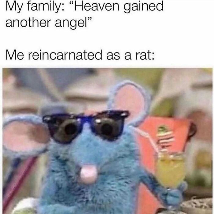 71 Memes Packed With Enough Humor And Sarcasm To Get You Through The Day