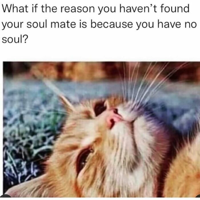 71 Memes Packed With Enough Humor And Sarcasm To Get You Through The Day