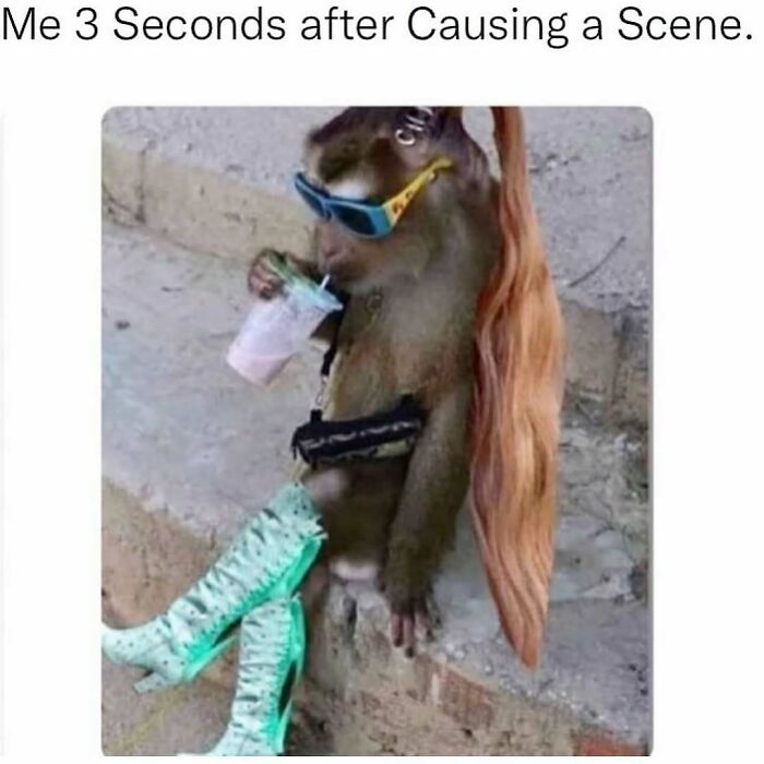 71 Memes Packed With Enough Humor And Sarcasm To Get You Through The Day