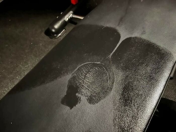 “I Hate This”: 80 Times A Mildly Infuriating Obstacle Got In The Way Of A Perfectly Good Day “I Hate This”: 80 Times A Mildly Infuriating Obstacle Got In The Way Of A Perfectly Good Day