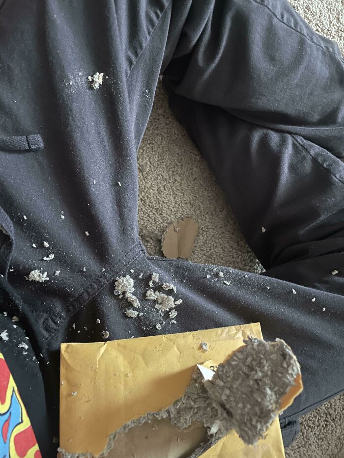 “I Hate This”: 80 Times A Mildly Infuriating Obstacle Got In The Way Of A Perfectly Good Day “I Hate This”: 80 Times A Mildly Infuriating Obstacle Got In The Way Of A Perfectly Good Day